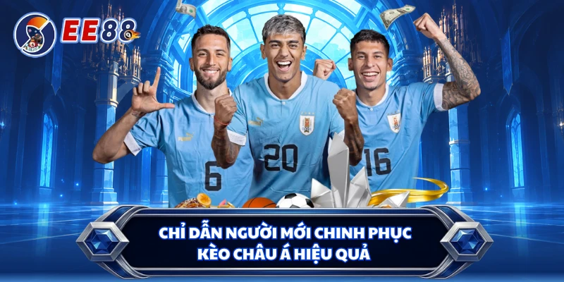 Chỉ dẫn người mới chinh phục kèo châu Á hiệu quả 