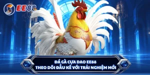 Đá Gà Cựa Dao EE88 - Theo Dõi Đấu Kê Với Trải Nghiệm Mới