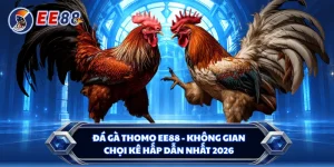 Đá Gà Thomo EE88 - Không Gian Chọi Kê Hấp Dẫn Nhất 2026