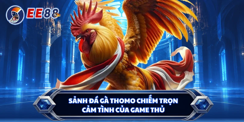 Sảnh đá gà Thomo chiếm trọn cảm tình của game thủ