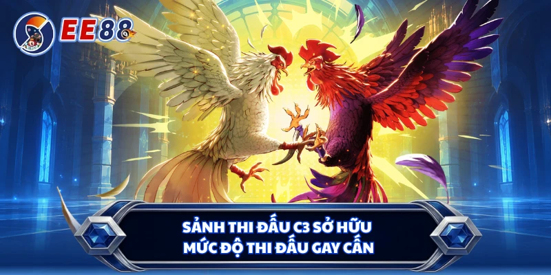 Sảnh thi đấu C3 sở hữu mức độ thi đấu gay cấn