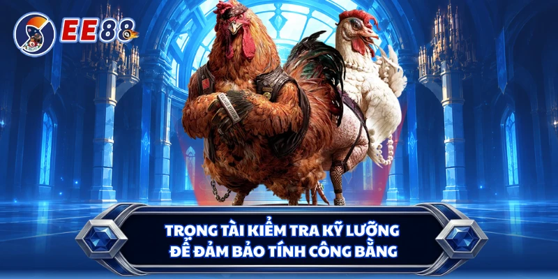 Trọng tài kiểm tra kỹ lưỡng để đảm bảo tính công bằng