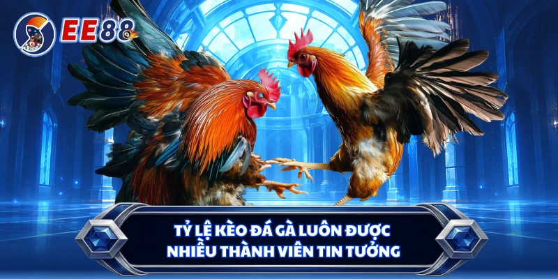 Tỷ lệ kèo đá gà luôn được nhiều thành viên tin tưởng